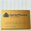 CSCS Gold Card