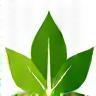 FSC certified timber